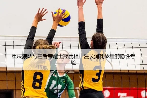 chong-qing-lang-dui-yu-wang-zhe-rong-yao-shi-guan-sai-cheng-man-chang-xiao-hao-zhan-li-de-yin-xing-kao-yan-2-689.jpg